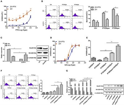 Ursolic Acid Reverses the Chemoresistance of Breast Cancer Cells to Paclitaxel by Targeting MiRNA-149-5p/MyD88